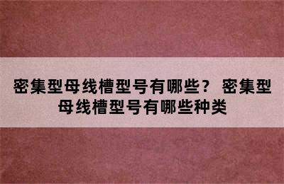 密集型母线槽型号有哪些？ 密集型母线槽型号有哪些种类